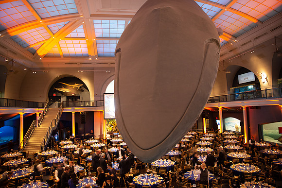whaleRoom-030-ML_23591