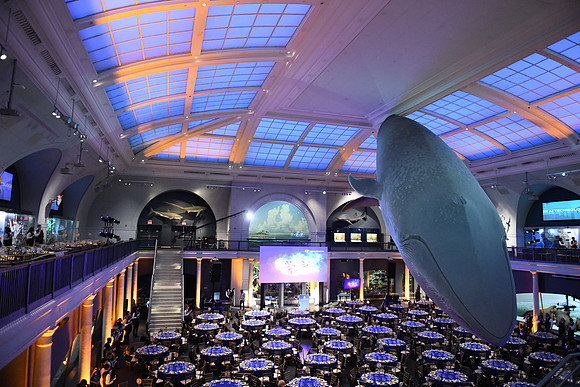 GALIEN22_05-OceanLifeDetails_0040