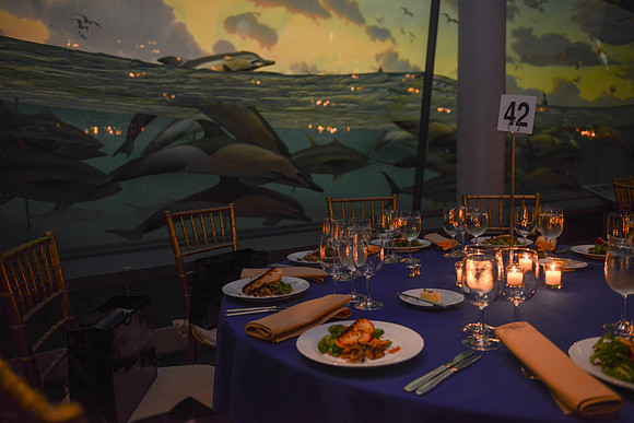 Whale Room-5