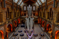 martin-james.co.uk-9