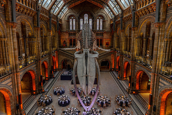 martin-james.co.uk-9