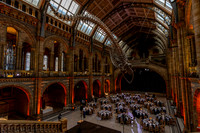 martin-james.co.uk-10