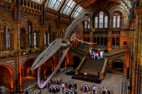 martin-james.co.uk-6