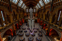 martin-james.co.uk-7
