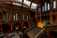 martin-james.co.uk-11
