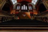 martin-james.co.uk-12