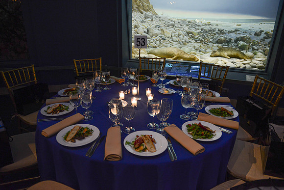 Whale Room-2