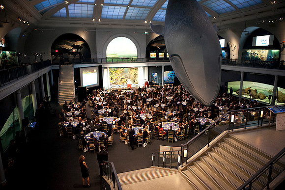 LoopSeven_PG2011_IMG_5192