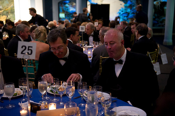 LoopSeven_PG2011__DSC8026