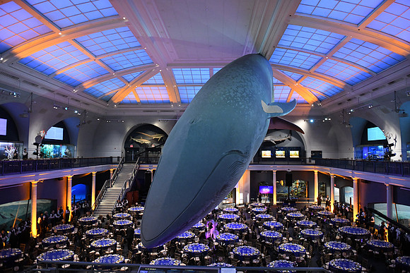 GALIEN22_05-OceanLifeDetails_0051