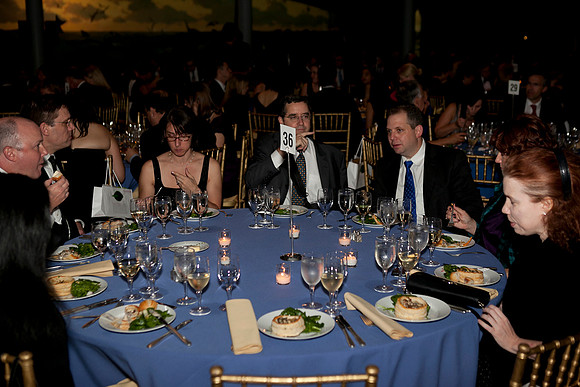 LoopSeven_PG2011_IMG_5140
