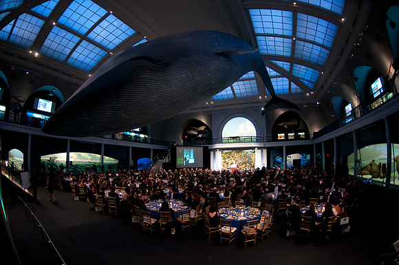 LoopSeven_PG2011__DSC0196