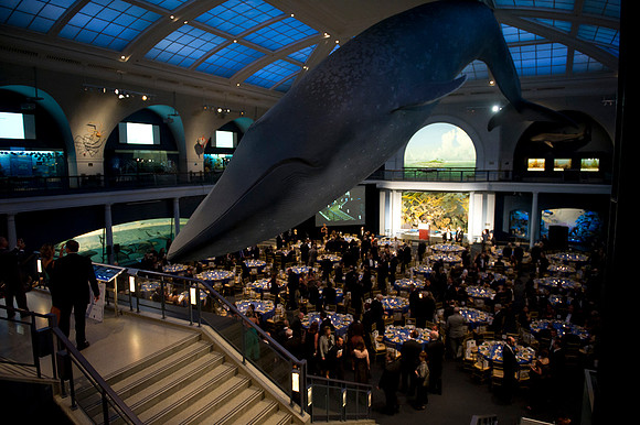 LoopSeven_PG2011__DSC8000