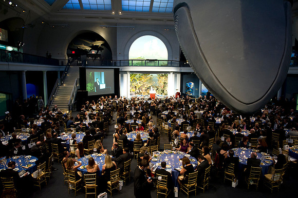 LoopSeven_PG2011__DSC8066