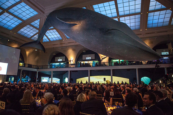 GalienFoundation_Candid (1 of 17)