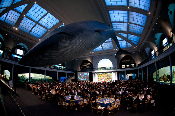 LoopSeven_PG2011__DSC0198