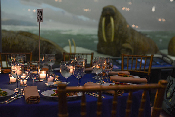 Whale Room-3