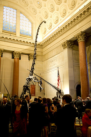 LoopSeven_PG2011__DSC7948
