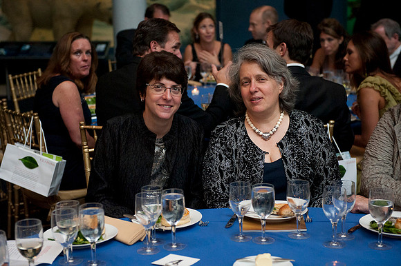 LoopSeven_PG2011_GK2_5213
