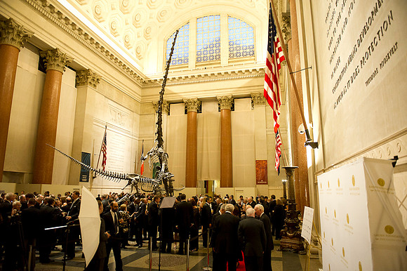 LoopSeven_PG2011__DSC7972