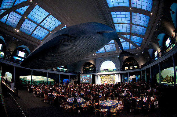 LoopSeven_PG2011__DSC0197