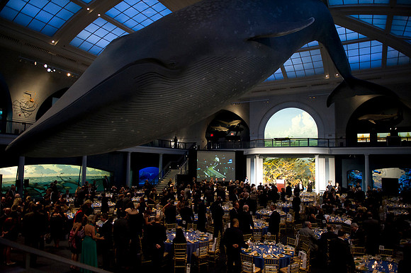 LoopSeven_PG2011__DSC8002
