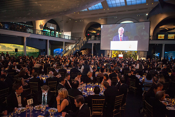GalienFoundation_Candid_ (1 of 1)