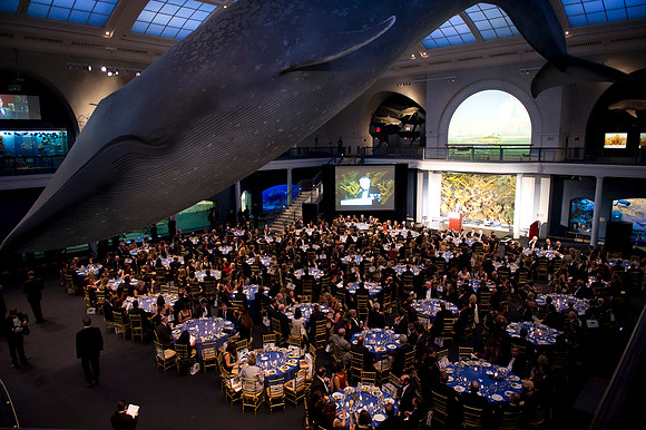 LoopSeven_PG2011__DSC8057