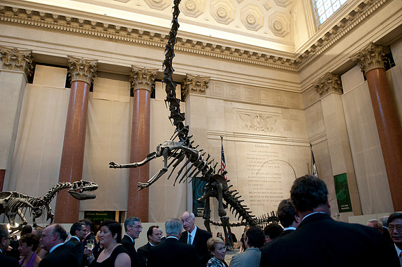 LoopSeven_PG2011__DSC0174