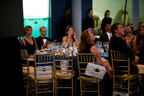 LoopSeven_PG2011__DSC8109