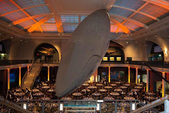 whaleRoom-012-ML_23573