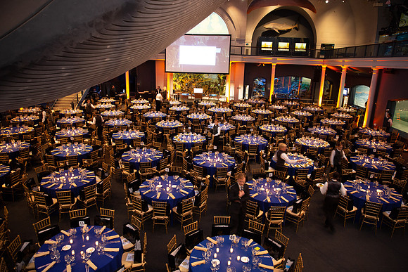 whaleRoom-019-ML_23580