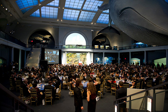 LoopSeven_PG2011__DSC8068