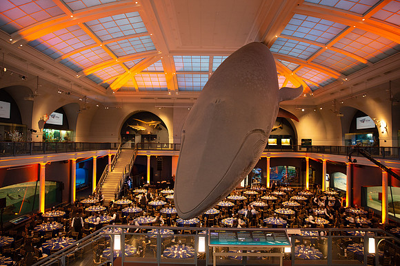 whaleRoom-017-ML_23578