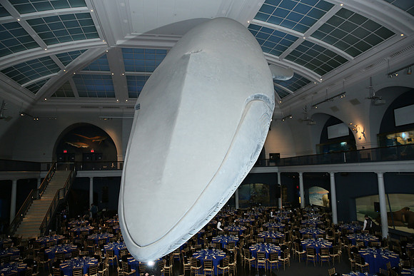 whaleRoom-010-ML_23222