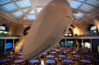whaleRoom-004-ML_23190