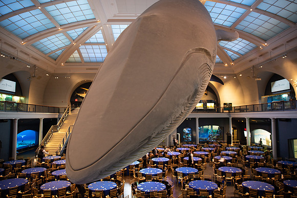 whaleRoom-004-ML_23190