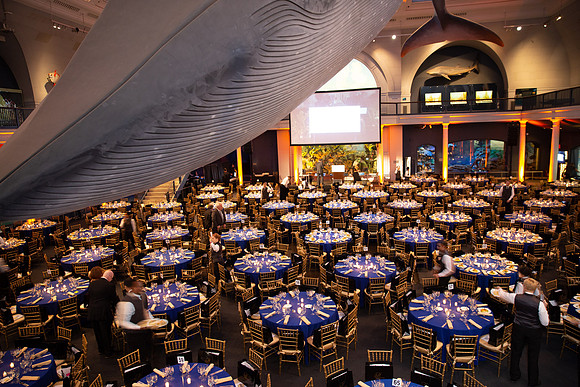 whaleRoom-023-ML_23584