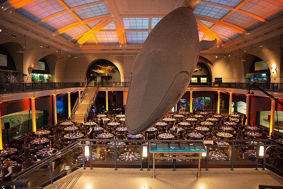 whaleRoom-018-ML_23579