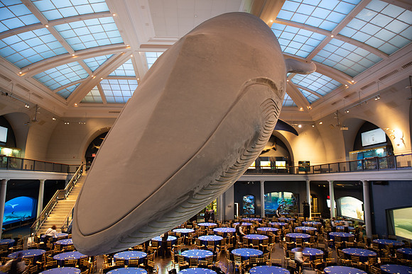 whaleRoom-008-ML_23194