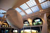 whaleRoom-002-ML_23189