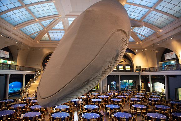 whaleRoom-006-ML_23192