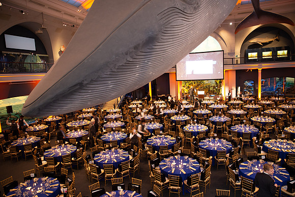 whaleRoom-022-ML_23583