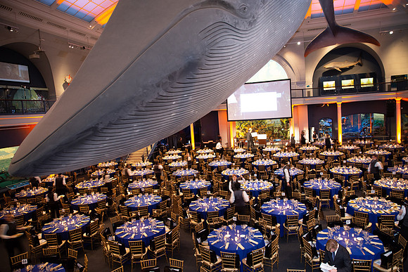 whaleRoom-021-ML_23582
