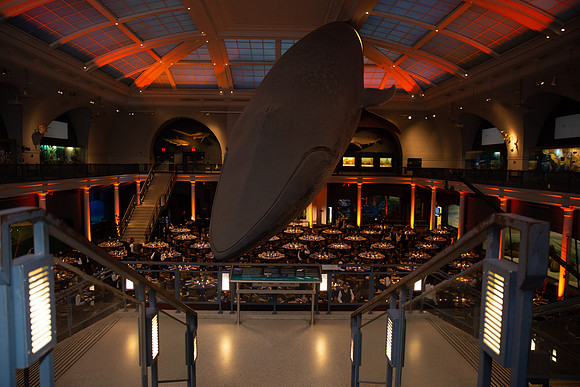 whaleRoom-014-ML_23575