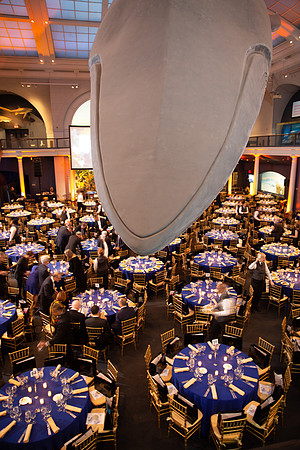 whaleRoom-028-ML_23589