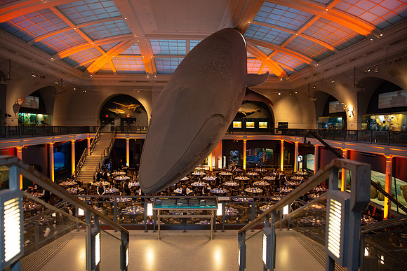 whaleRoom-015-ML_23576