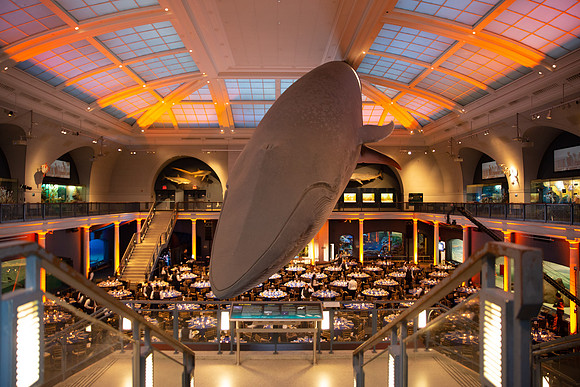 whaleRoom-016-ML_23577