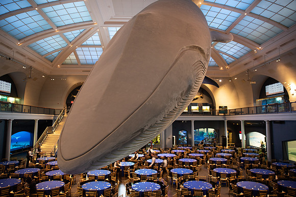 whaleRoom-005-ML_23191