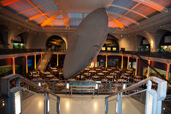 whaleRoom-013-ML_23574